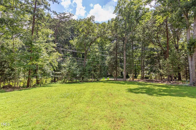 2110 Bivins Rd, Durham, NC 27712 - photo 58