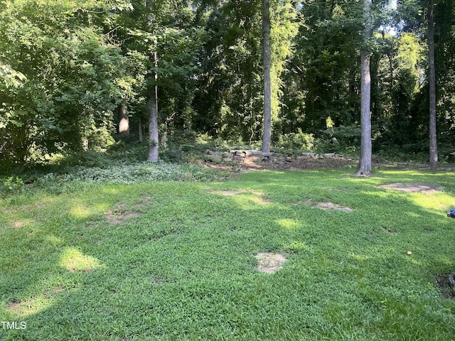 321 Glencoe Dr, Wake Forest, NC 27587 - photo 14