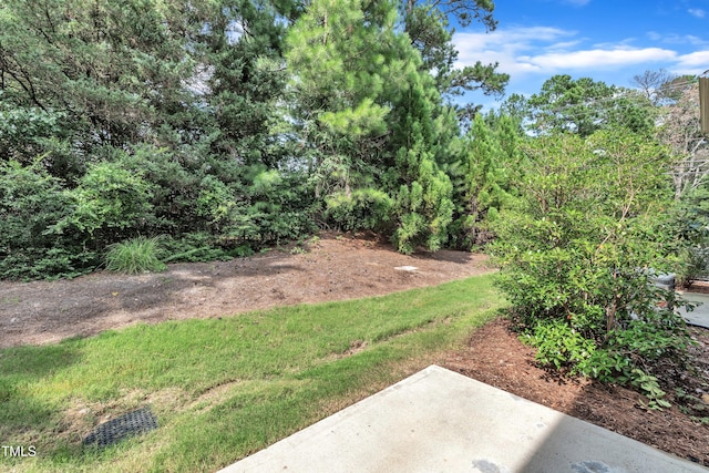 1006 Flagler St, Durham, NC 27713 - photo 35