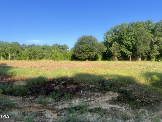 6457 Elevation Rd, Benson, NC 27504 - photo 13