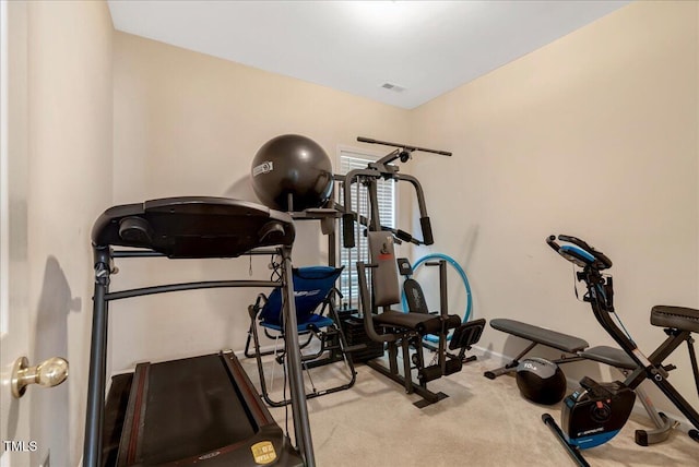 840 Nightshade Way, Raleigh, NC 27610 - photo 24