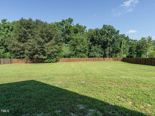 162 Cedarbrook Dr, Benson, NC 27504 - photo 29