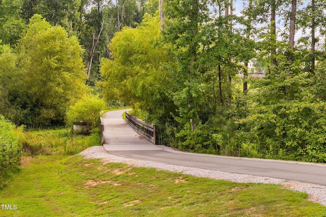 1344 Brown Velvet Ln, Apex, NC 27523 - photo 56