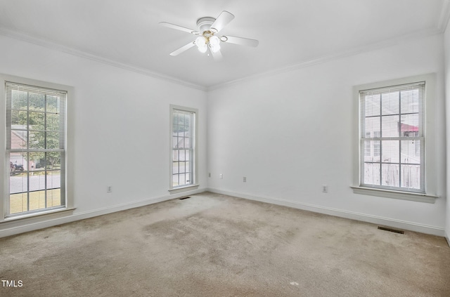 3704 Shadow Ridge Rd N, Wilson, NC 27896 - photo 15