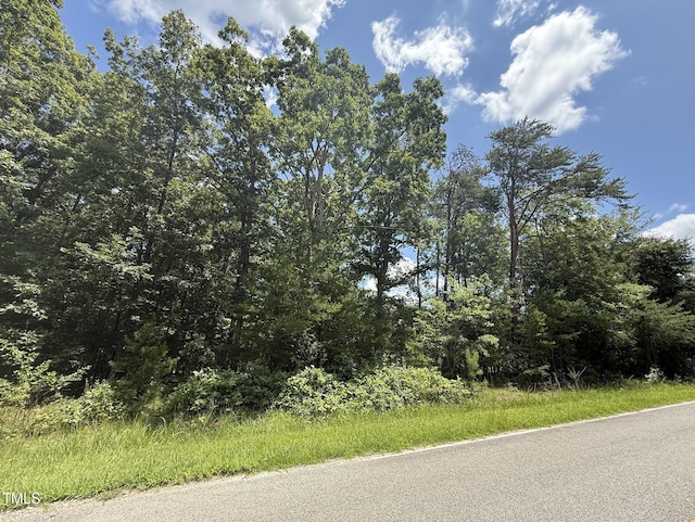 2210 Harris Rd, Rougemont, NC 27572 - photo 7