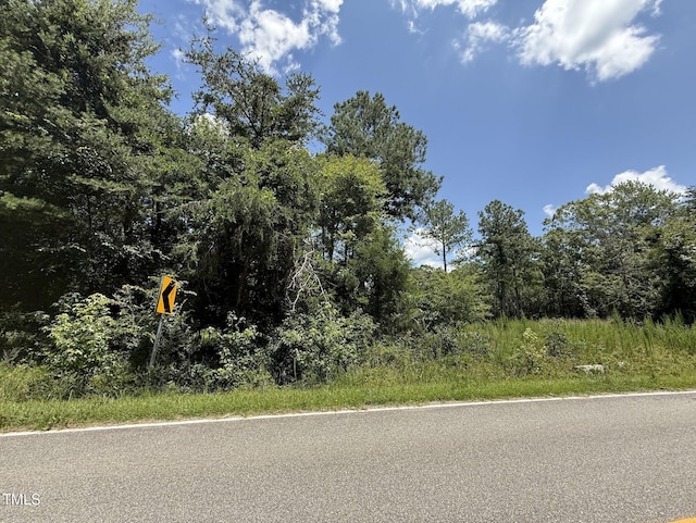 2210 Harris Rd, Rougemont, NC 27572 - photo 2