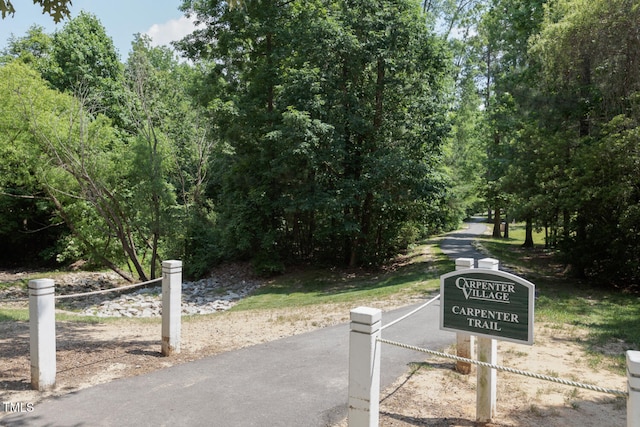 500 Potomac Grove Pl, Cary, NC 27519 - photo 98