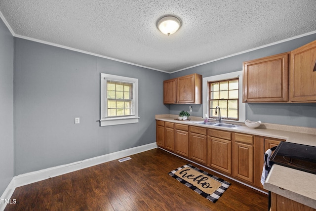 6418 Osceola Ossipee Rd, Gibsonville, NC 27249 - photo 12