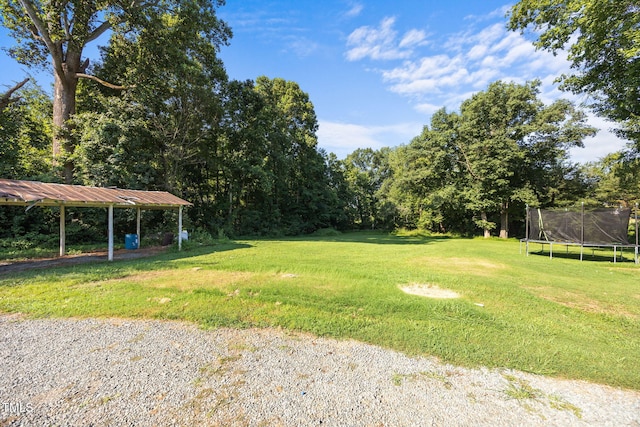 6418 Osceola Ossipee Rd, Gibsonville, NC 27249 - photo 16