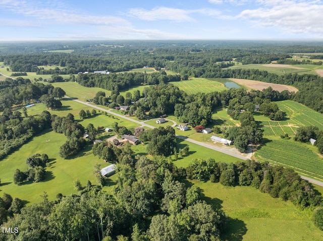 6418 Osceola Ossipee Rd, Gibsonville, NC 27249 - photo 18