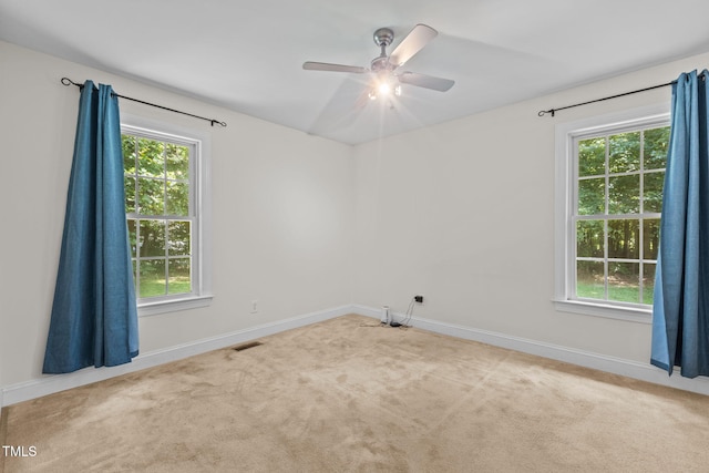 96 Red Berry Holly Ln, Hurdle Mills, NC 27541 - photo 17
