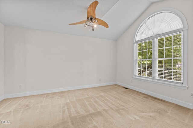 96 Red Berry Holly Ln, Hurdle Mills, NC 27541 - photo 19