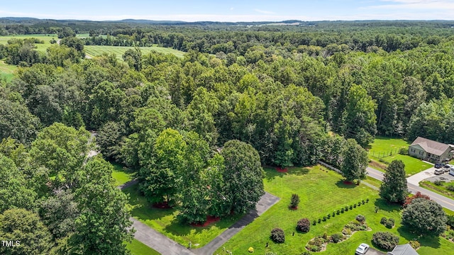 96 Red Berry Holly Ln, Hurdle Mills, NC 27541 - photo 42