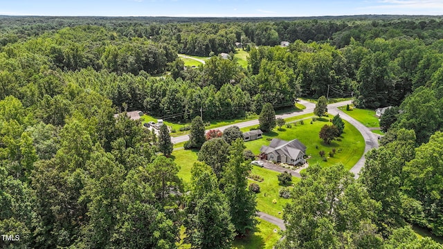 96 Red Berry Holly Ln, Hurdle Mills, NC 27541 - photo 43