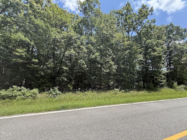 673 Bill Poole Rd, Rougemont, NC 27572 - photo 4
