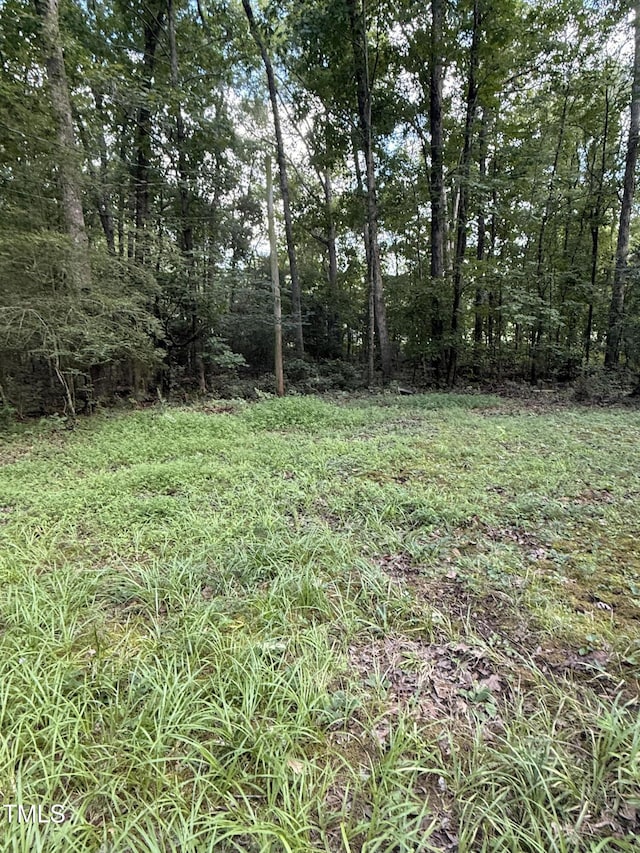 823 Mays Chapel Rd, Bear Creek, NC 27207 - photo 3