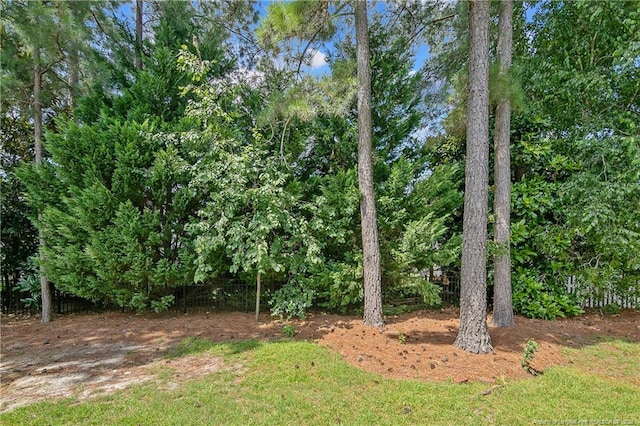 177 Lamplighter Way, Spring Lake, NC 28390 - photo 43