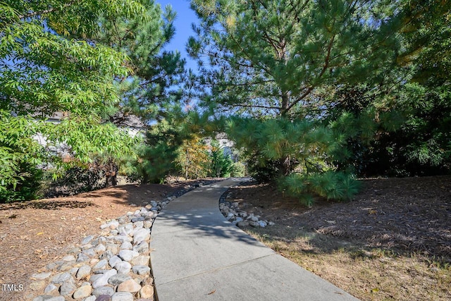 1108 Bradshaw Ct, Cary, NC 27518 - photo 47