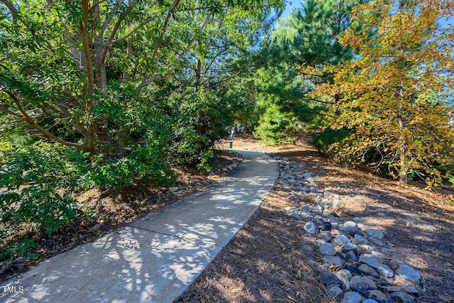 1108 Bradshaw Ct, Cary, NC 27518 - photo 46