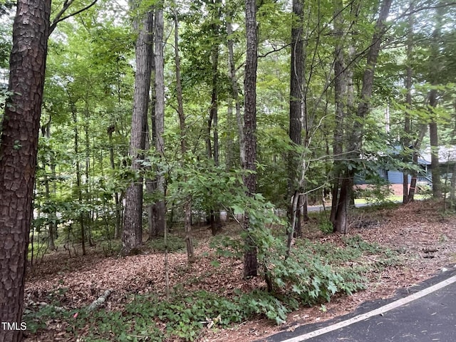 5117 Pheasant Ln, Sanford, NC 27332 - photo 5