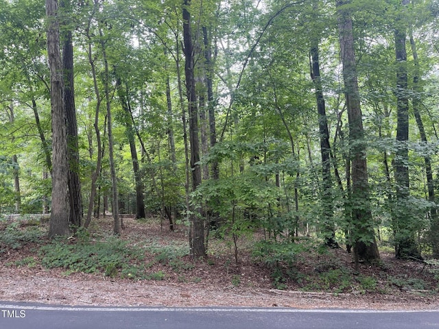 5117 Pheasant Ln, Sanford, NC 27332 - photo 7