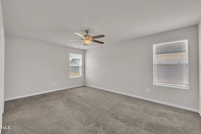 146 Maple Tree Ln, Clayton, NC 27527 - photo 33