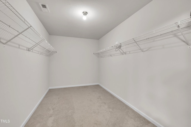 146 Maple Tree Ln, Clayton, NC 27527 - photo 42