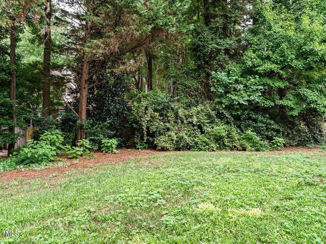 3212 Loyal Ln, Raleigh, NC 27615 - photo 34