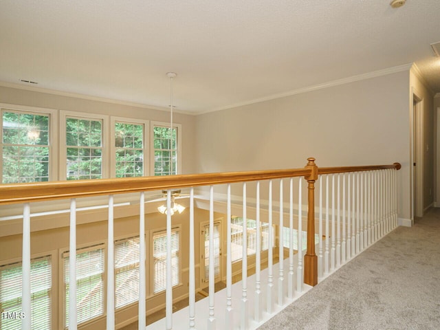 3212 Loyal Ln, Raleigh, NC 27615 - photo 28