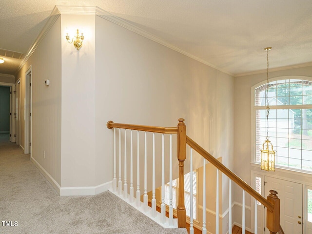 3212 Loyal Ln, Raleigh, NC 27615 - photo 25