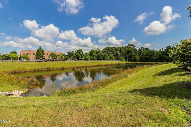 505 Twin Star Ln, Knightdale, NC 27545 - photo 47