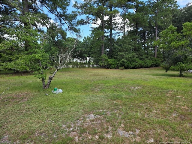 6405 Cedar Creek Rd, Fayetteville, NC 28312 - photo 3