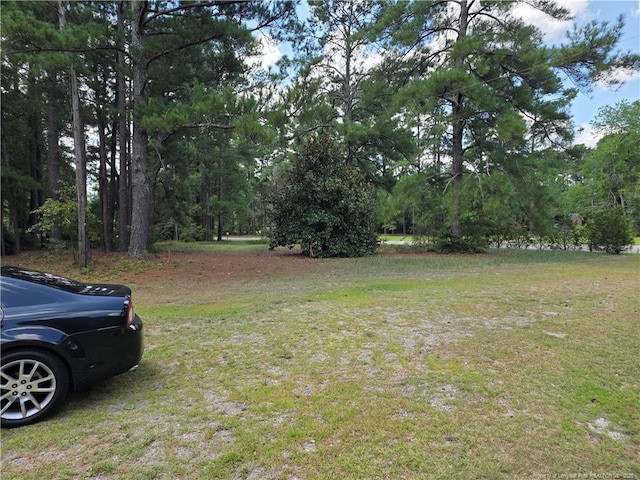 6405 Cedar Creek Rd, Fayetteville, NC 28312 - photo 4