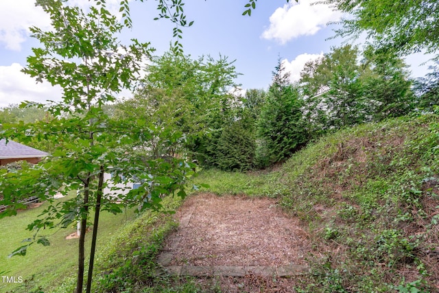2509 Fitzgerald Dr, Raleigh, NC 27610 - photo 26