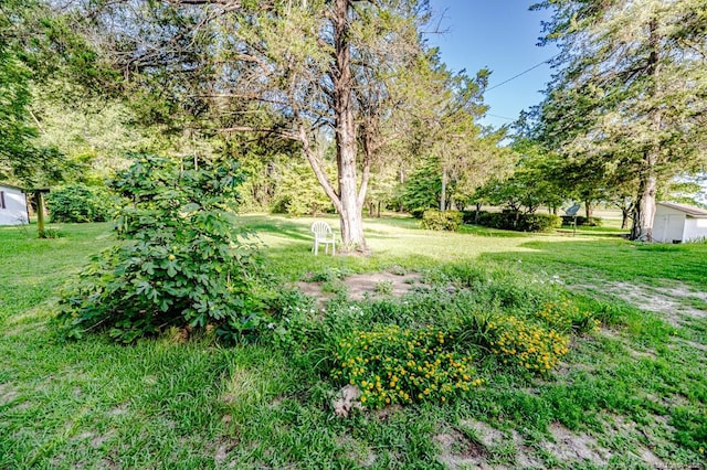20725 NC-24-27, Cameron, NC 28326 - photo 24