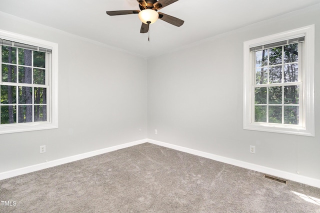 1012 Mountain Laurel Dr, Raleigh, NC 27603 - photo 24