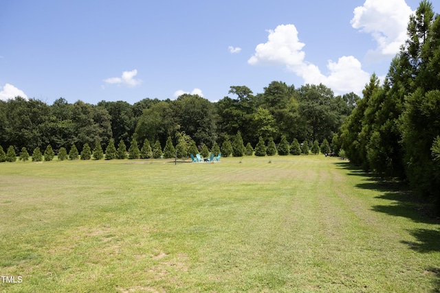 130 Crownview Ln, Dunn, NC 28334 - photo 36
