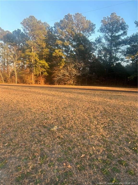 Greenbrier Ln, Red Springs, NC 28377 - photo 1