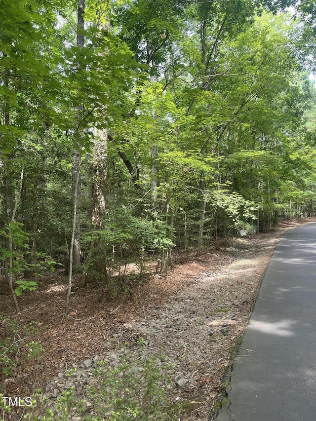 2064 Falling Strm, Sanford, NC 27332 - photo 4