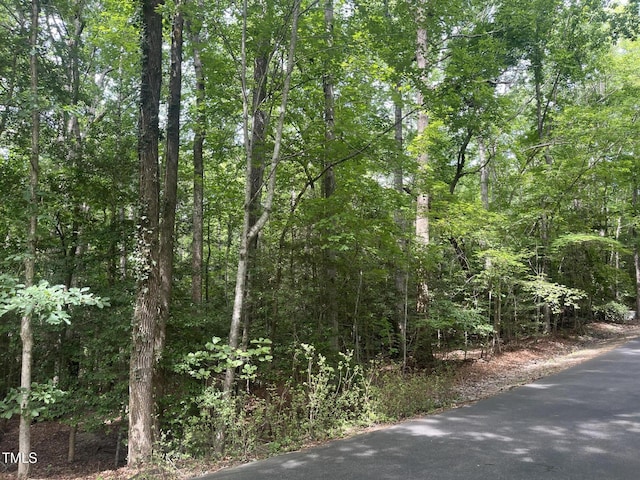 2064 Falling Strm, Sanford, NC 27332 - photo 2