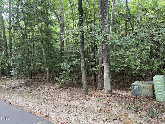 2064 Falling Strm, Sanford, NC 27332 - photo 3