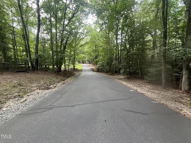2064 Falling Strm, Sanford, NC 27332 - photo 5