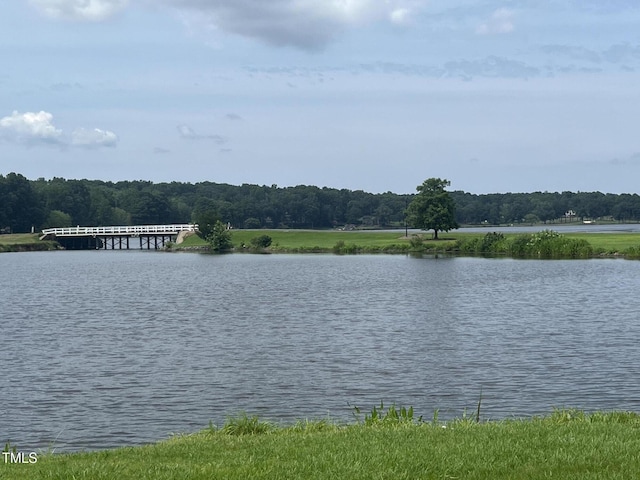 2064 Falling Strm, Sanford, NC 27332 - photo 10