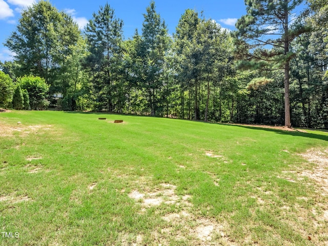 1005 Brianside Ct, Wake Forest, NC 27587 - photo 48