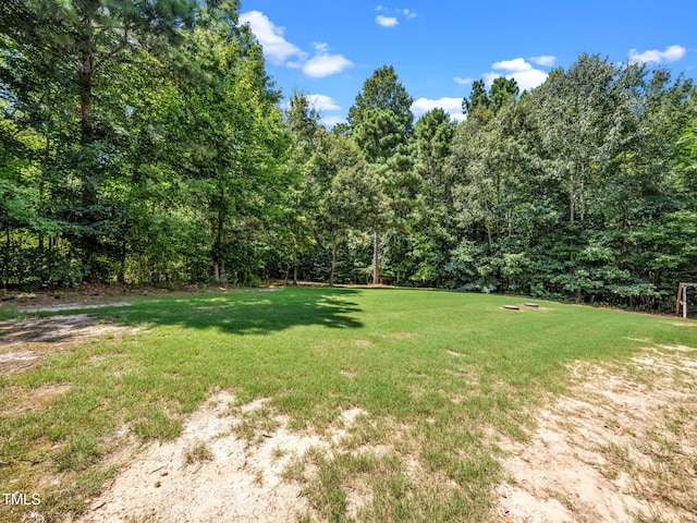 1005 Brianside Ct, Wake Forest, NC 27587 - photo 55