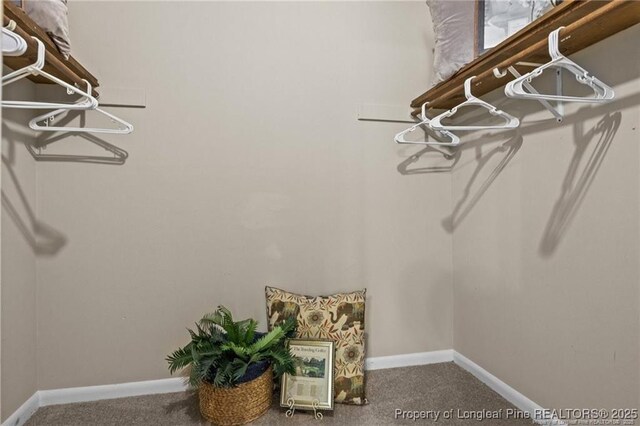 6750 Weeping Water Run, Fayetteville, NC 28314 - photo 23