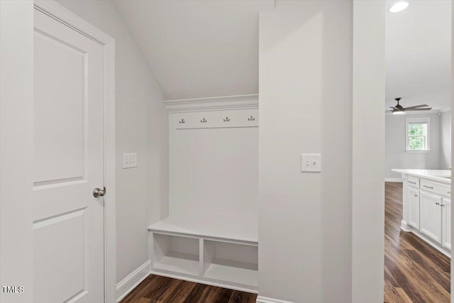 304 White Iris Loop, Cary, NC 27519 - photo 26