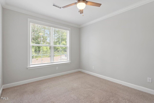 304 White Iris Loop, Cary, NC 27519 - photo 28