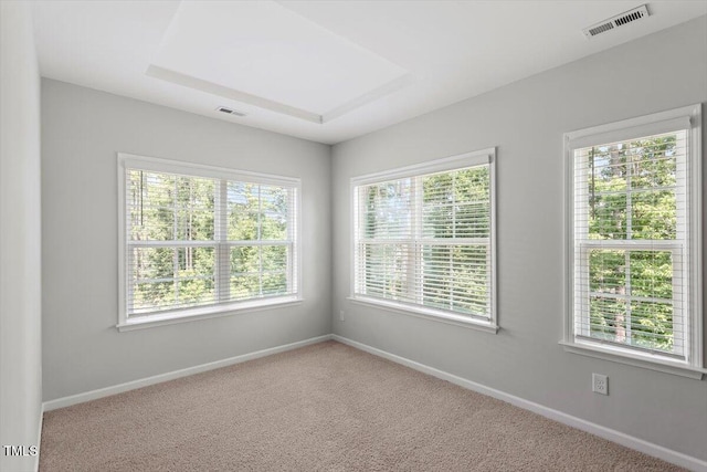 304 White Iris Loop, Cary, NC 27519 - photo 37