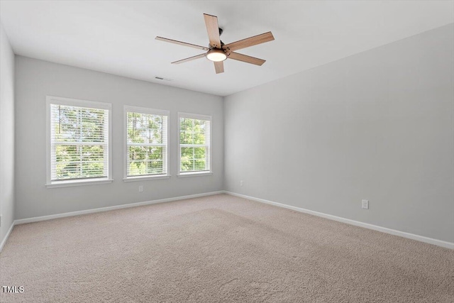 304 White Iris Loop, Cary, NC 27519 - photo 43